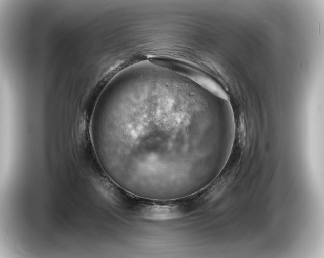 X0000085750314200703161101