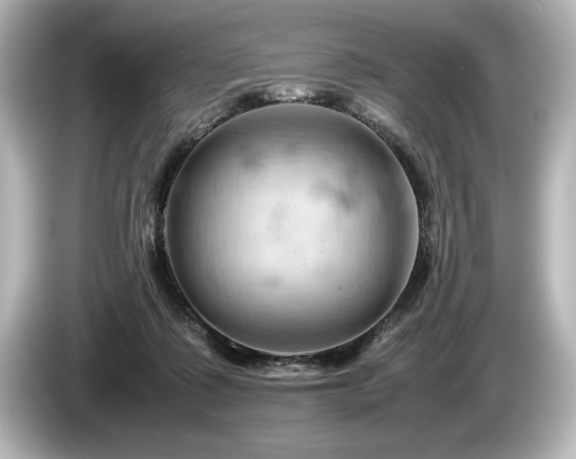 X0000085750315200703161101