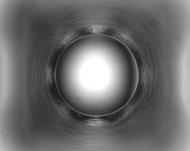 X0000085750316200703161101