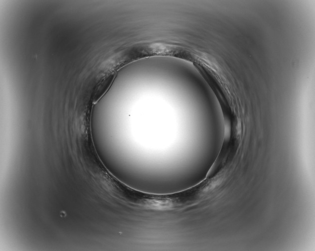 X0000085750317200703161101