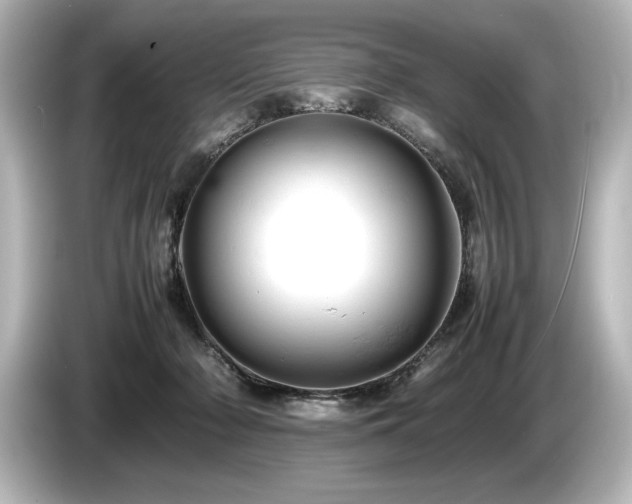 X0000085750318200703161101
