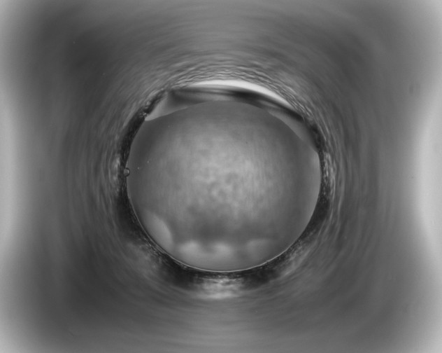 X0000085750319200703161101