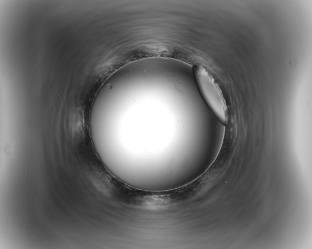 X0000085750320200703161101