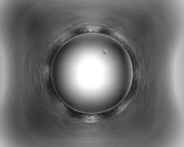X0000085750321200703161100