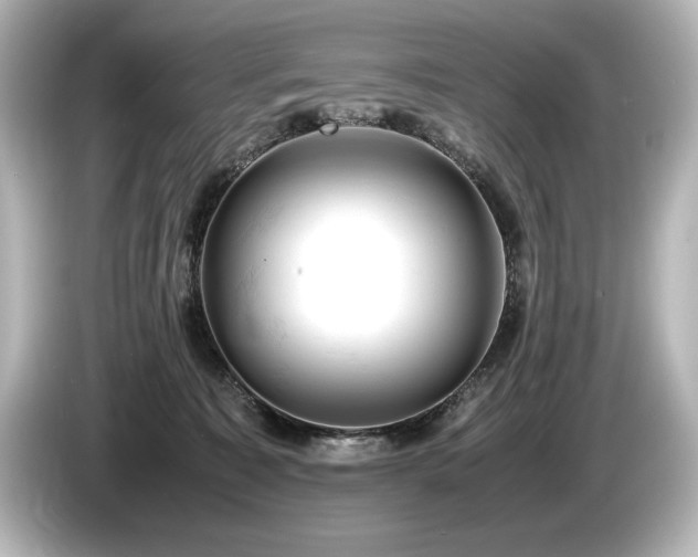 X0000085750323200703161100