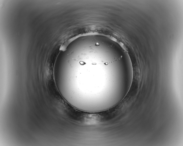 X0000085750324200703161100
