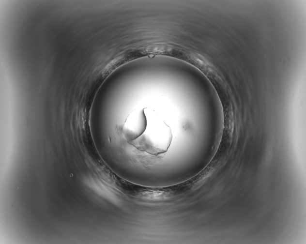 X0000085750326200703161100