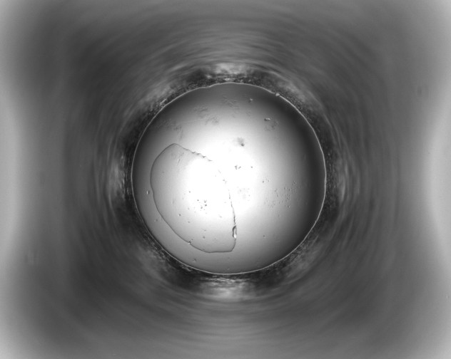 X0000085750328200703161100