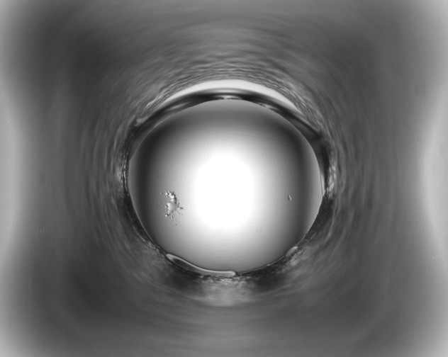 X0000085750329200703161100
