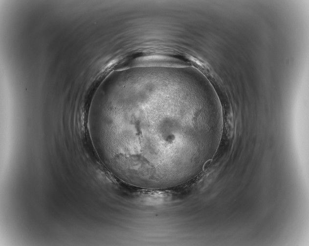 X0000085750330200703161100
