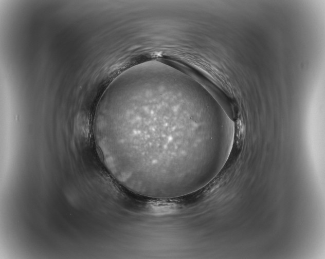 X0000085750331200703161100