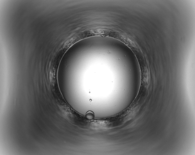 X0000085750332200703161100