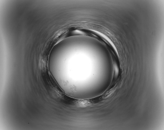 X0000085750333200703161100