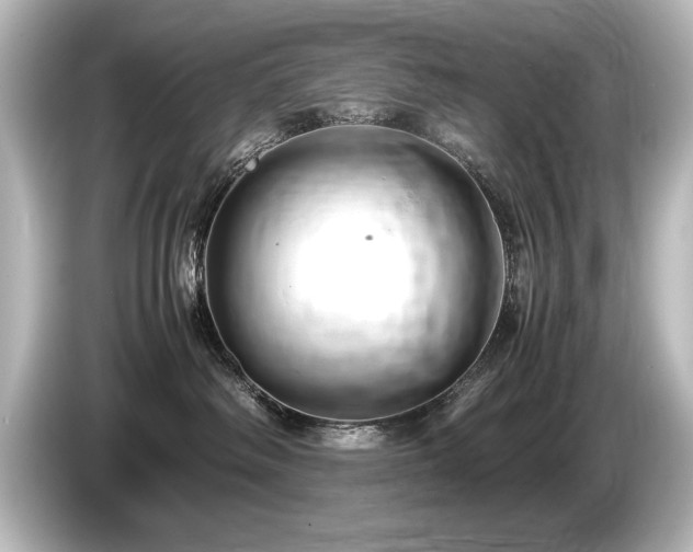 X0000085750334200703161100