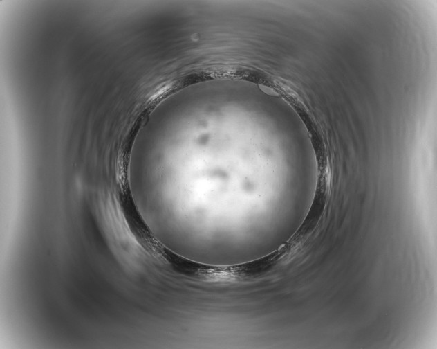 X0000085750335200703161100