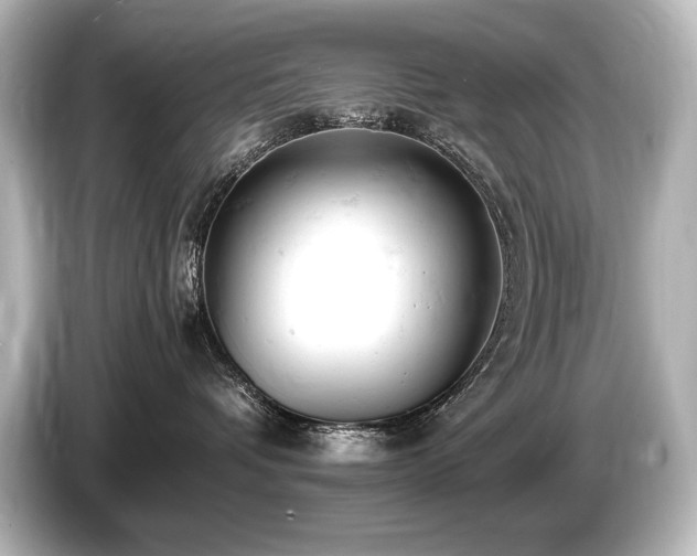 X0000085750336200703161100