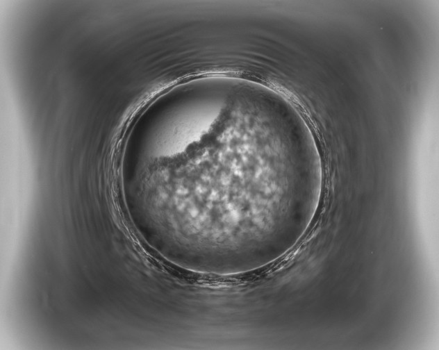 X0000085750337200703161059