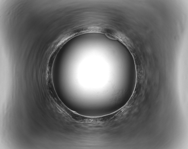 X0000085750338200703161059