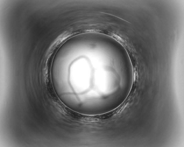 X0000085750339200703161059