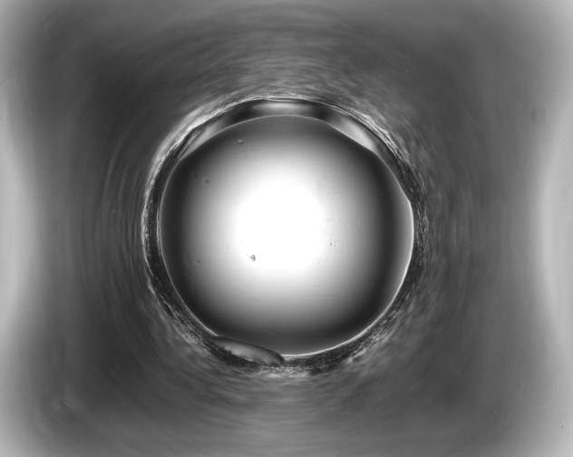 X0000085750340200703161059