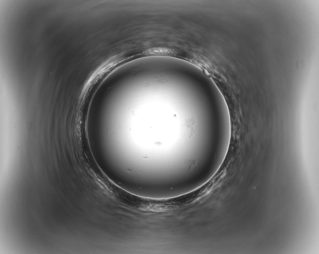 X0000085750341200703161059