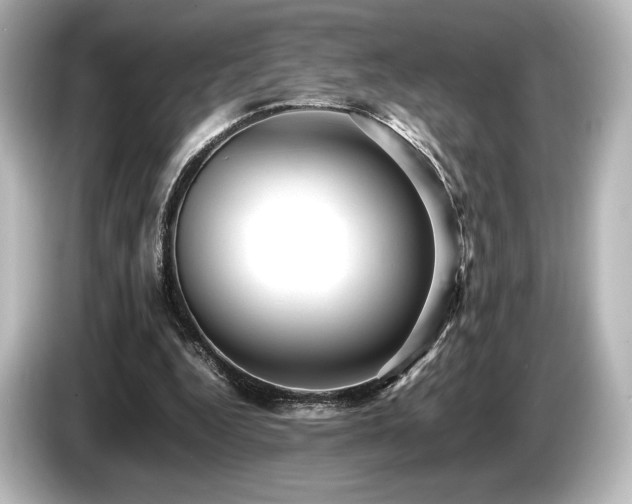 X0000085750344200703161100