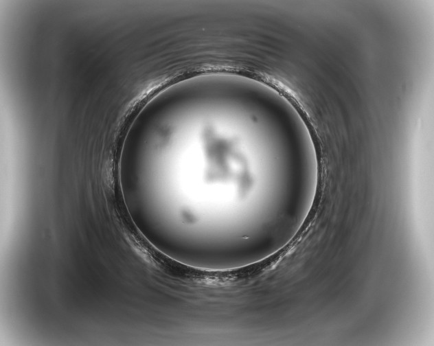 X0000085750345200703161100