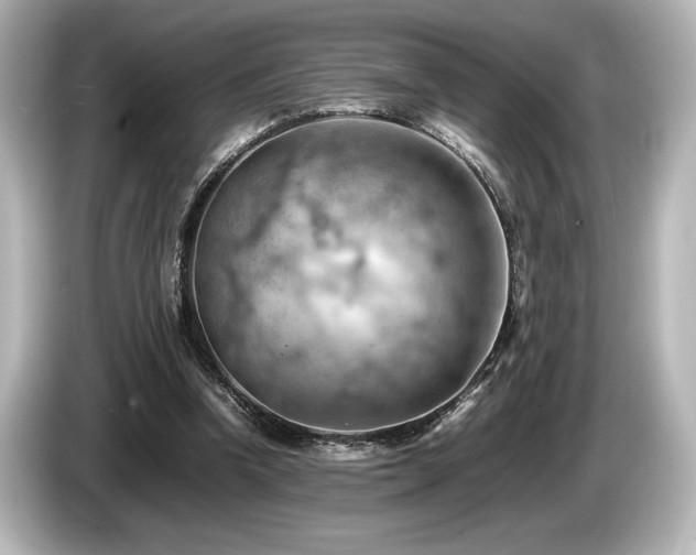 X0000085750346200703161100