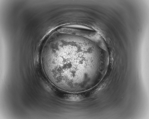 X0000085750347200703161100