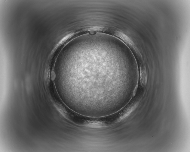 X0000085750348200703161100