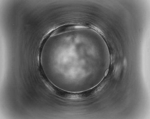 X0000085750349200703161100
