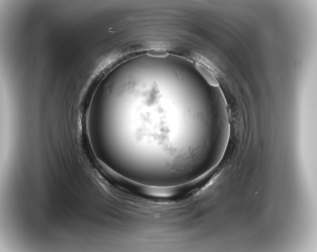 X0000085750350200703161100