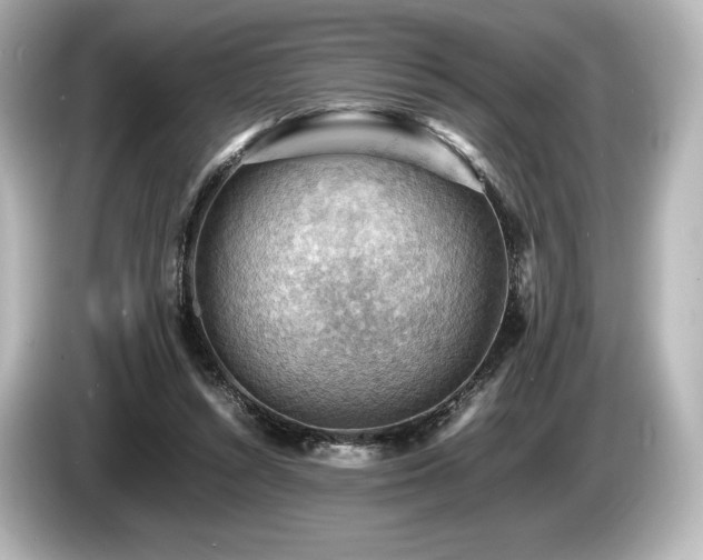 X0000085750352200703161100