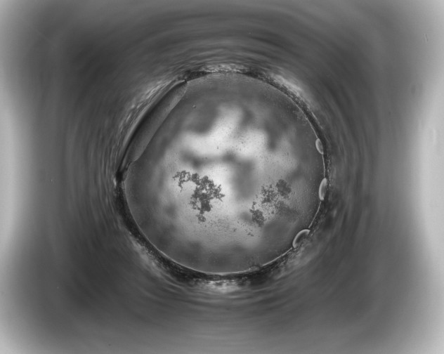 X0000085750353200703161100