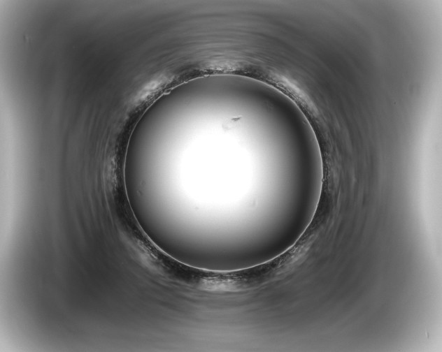 X0000085750354200703161100