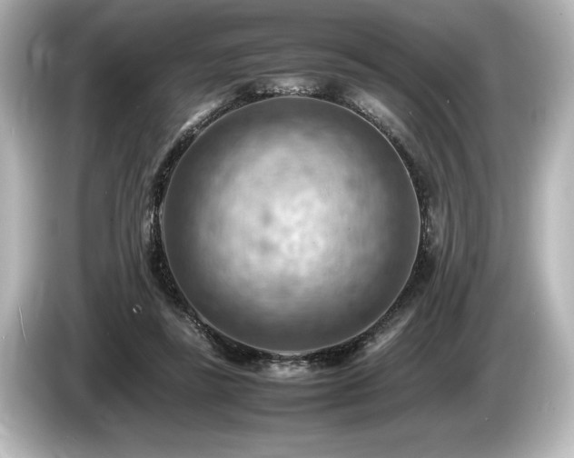 X0000085750355200703161100