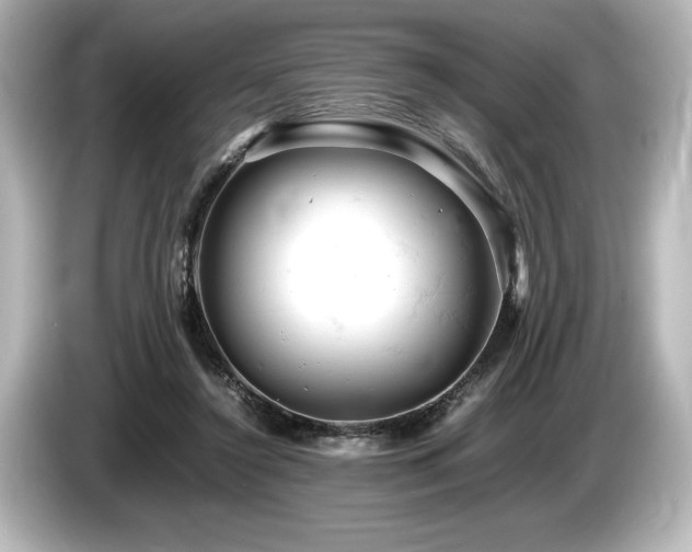 X0000085750356200703161100