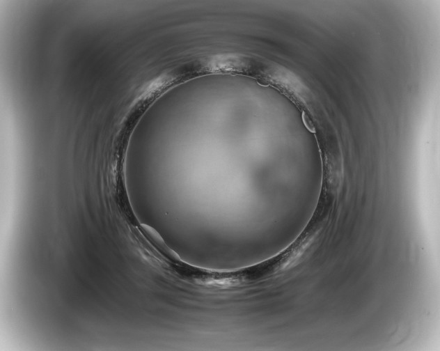 X0000085750357200703161100