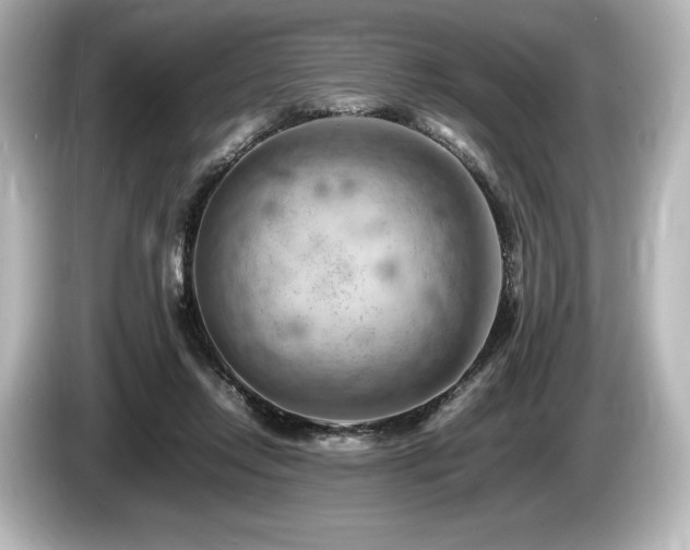 X0000085750358200703161100