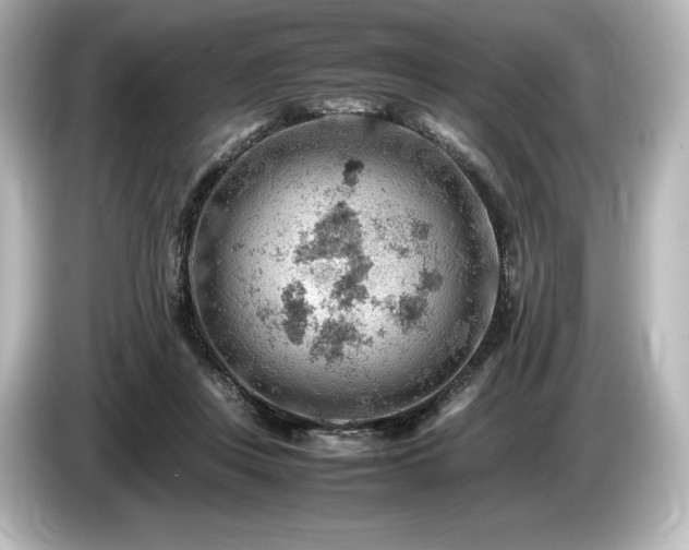 X0000085750359200703161100