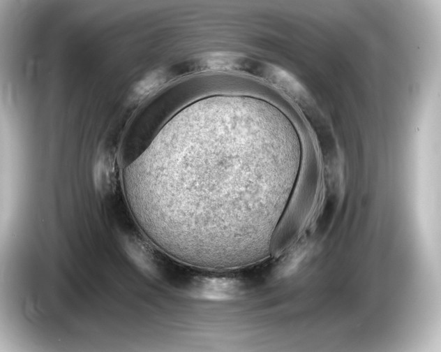 X0000085750360200703161100