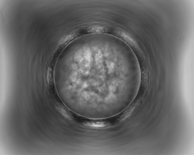 X0000085750361200703161100