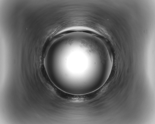 X0000085750362200703161100