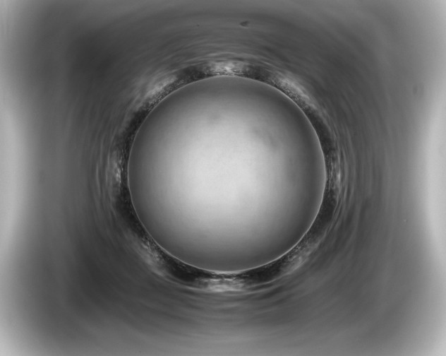 X0000085750363200703161100