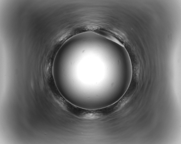 X0000085750364200703161100