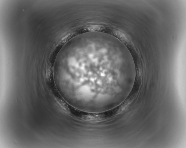 X0000085750367200703161100