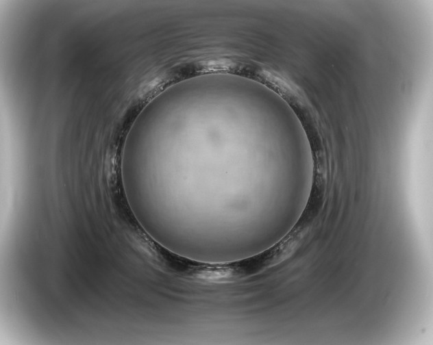 X0000085750369200703161100