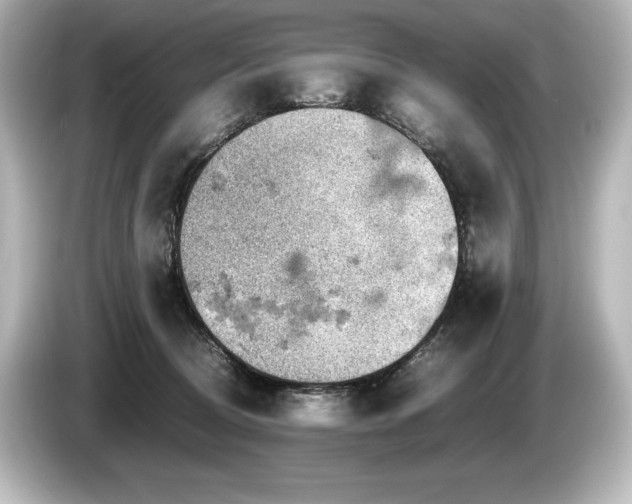 X0000085750370200703161100
