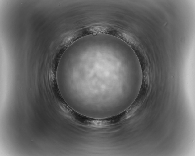 X0000085750371200703161100