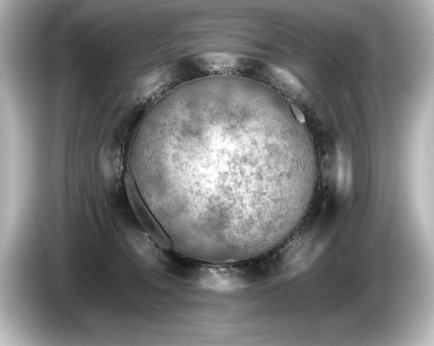 X0000085750372200703161100